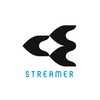 Устройство Flash Streamer Устройство Flash Streamer